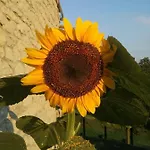 Casale Monte Valestra Nocleg ze śniadaniem 4*
