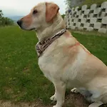 Casale Monte Valestra Nocleg ze śniadaniem 4*