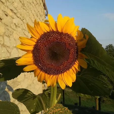 Casale Monte Valestra Отель типа 