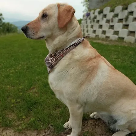 Casale Monte Valestra Bed & Breakfast 4*