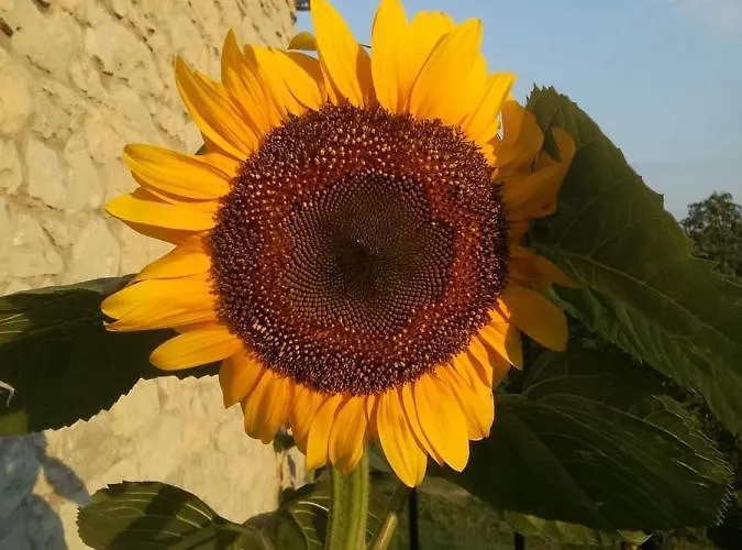 Casale Monte Valestra Oda ve Kahvaltı 4*