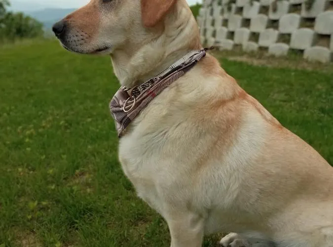 Casale Monte Valestra Oda ve Kahvaltı 4*