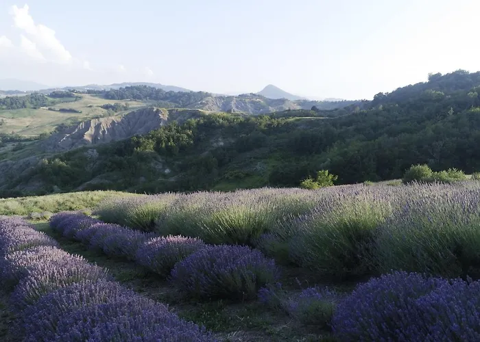 Casale Monte Valestra 4*